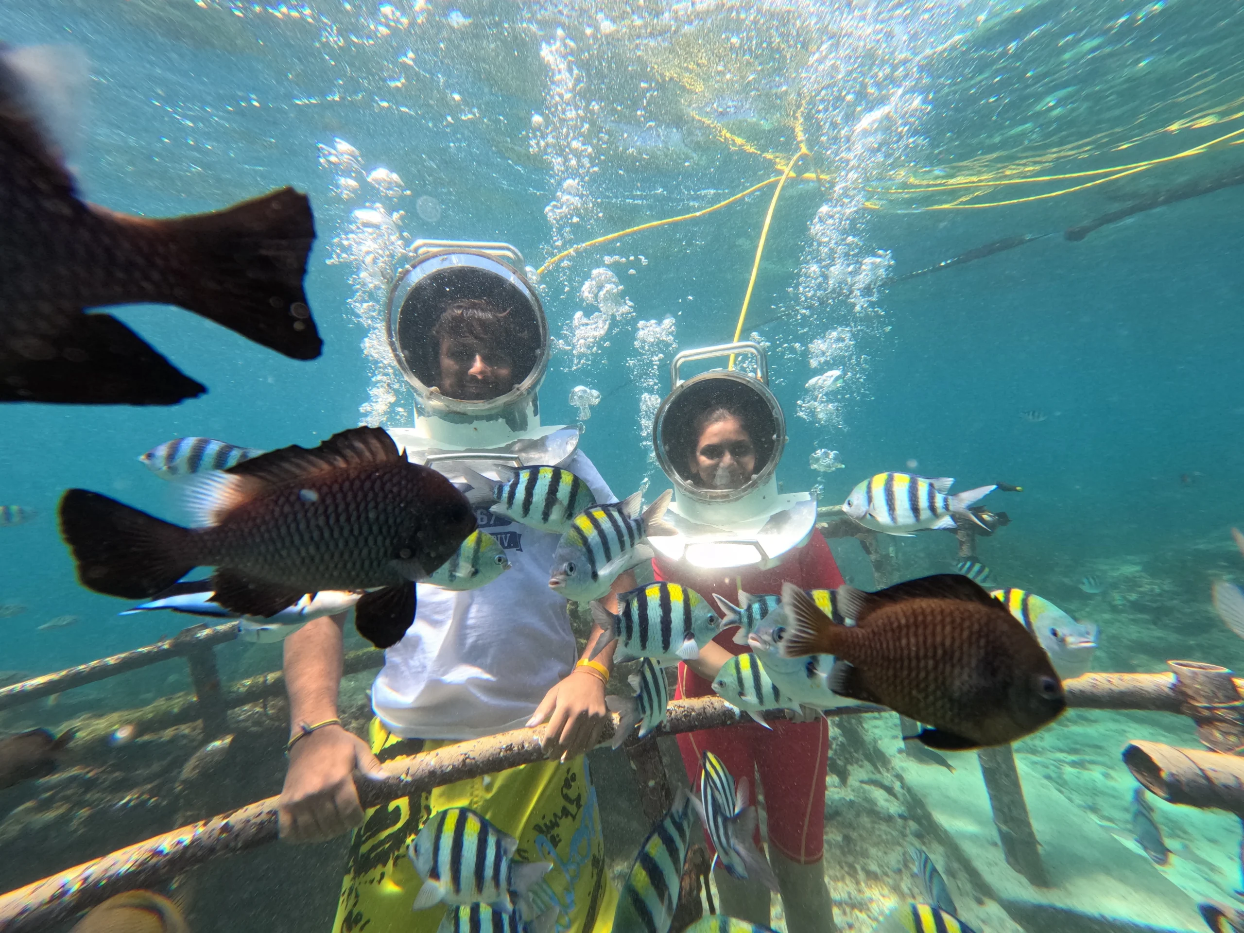 Watersport Bali cocok untuk wisata keluarga, honeymoon, solo traveler, rombongan teman, corporate trip, dan outing perusahaan