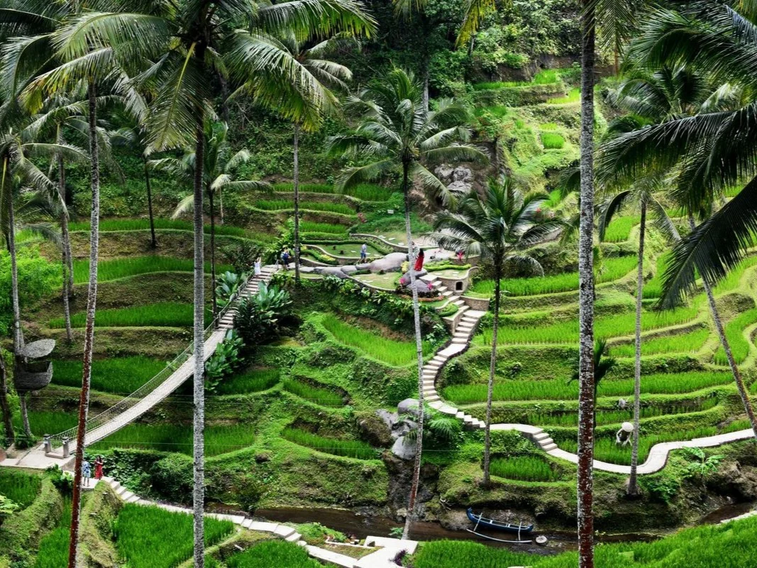 Ubud Day Tour: Penglipuran, Kintamani, Sari Timbul, Tegallalang