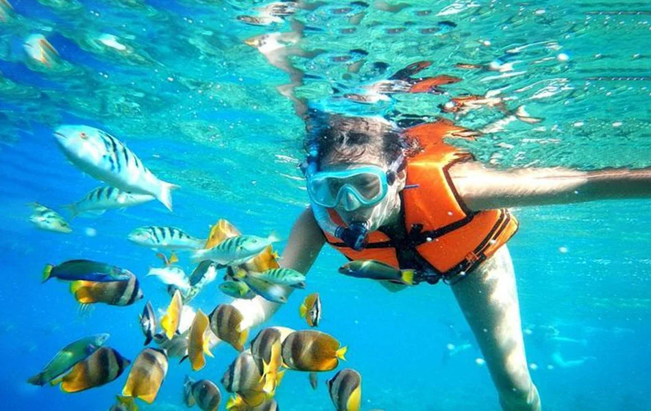 Aktivitas snorkling Bali – peserta melihat terumbu karang di spot populer dengan air jernih