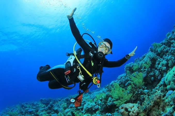 Fun dive Bali untuk pemula – uji buoyancy dasar bersama instruktur di perairan tenang