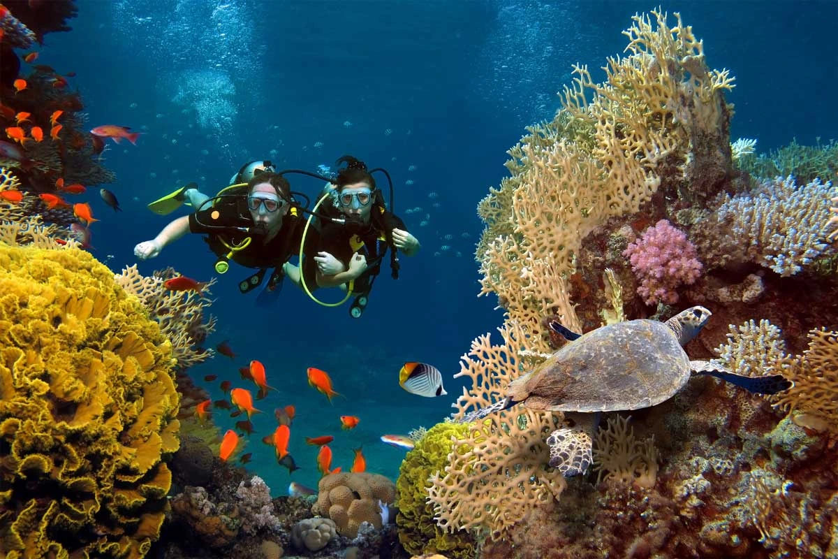 Paket Diving Bali untuk pemula – discover scuba diving Bali didampingi instruktur bersertifikat, 1x dive