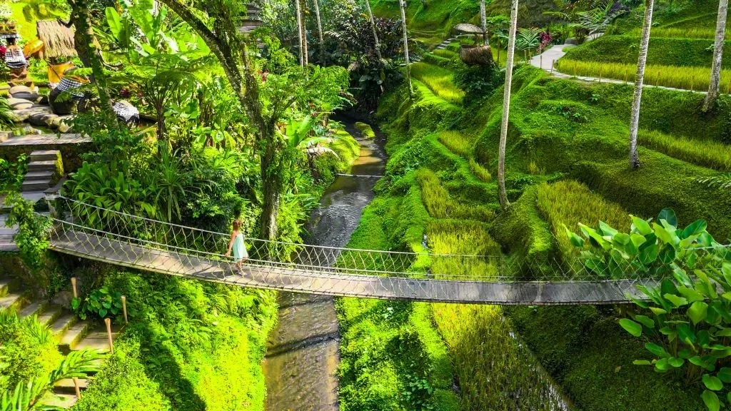 Itinerary wisata Kintamani Tirta Empul Tegallalang di Bali