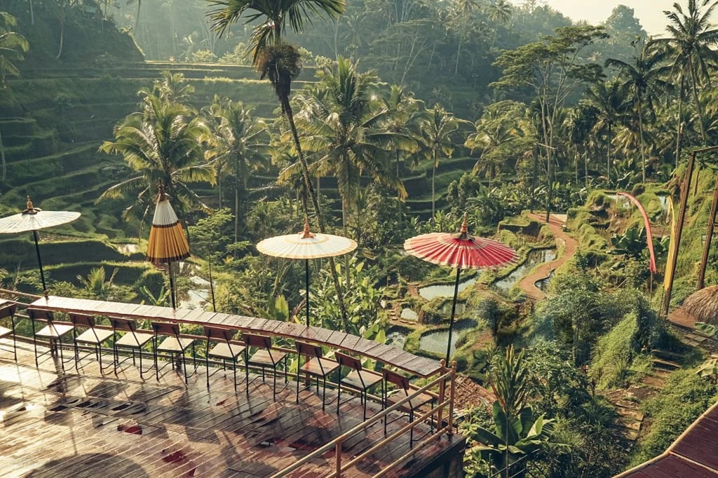 Cafe dengan view sawah Tegallalang Rice Terrace untuk nongkrong santai dan menikmati suasana Bali